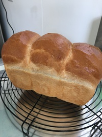 食パン*パウンド型 2018/05/04 12:46:14