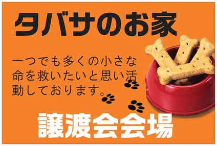 ブログを更新しております。