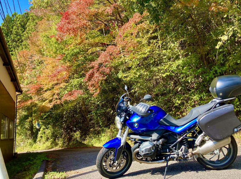 お気に入りの紅葉②