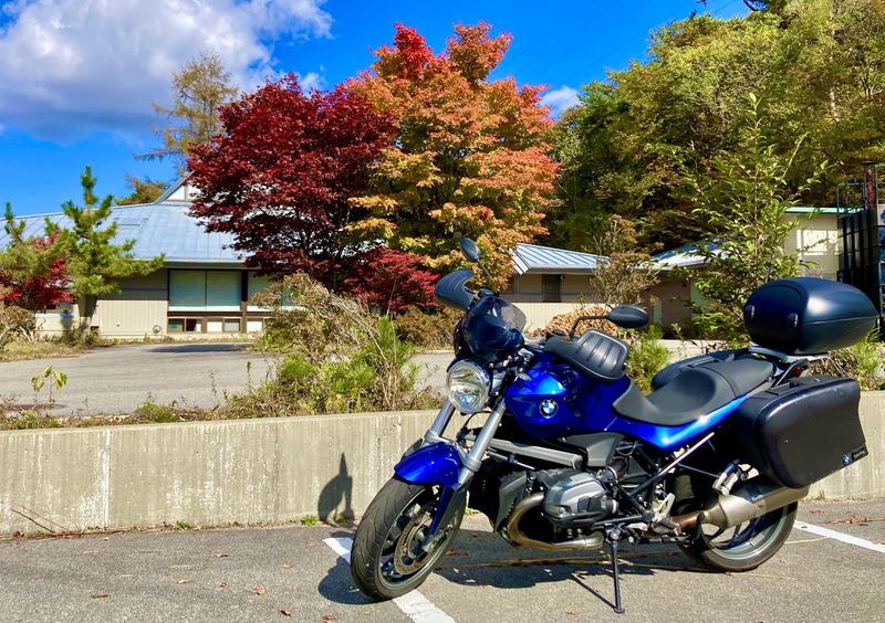 お気に入りの紅葉①