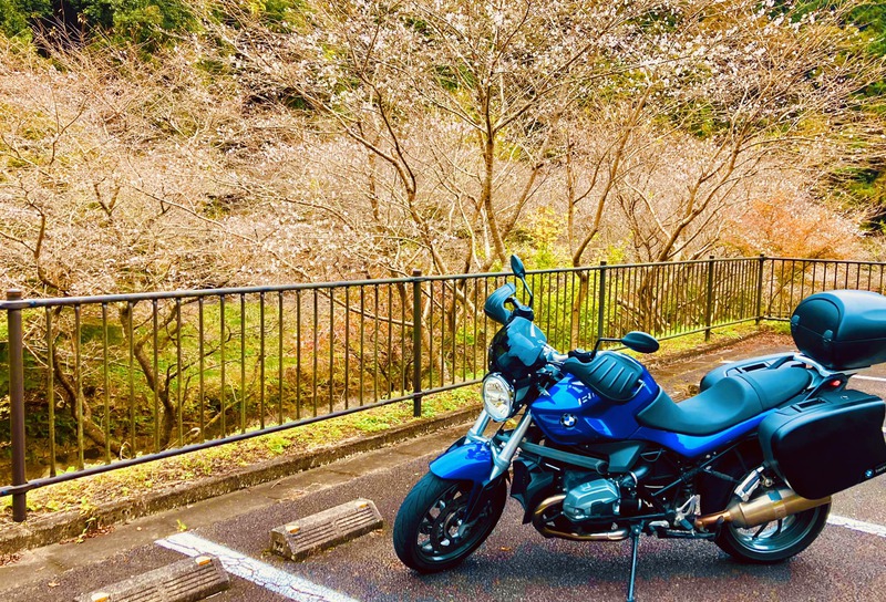 「小原四季桜まつり」期間 バイクは上仁木駐車場になります。
