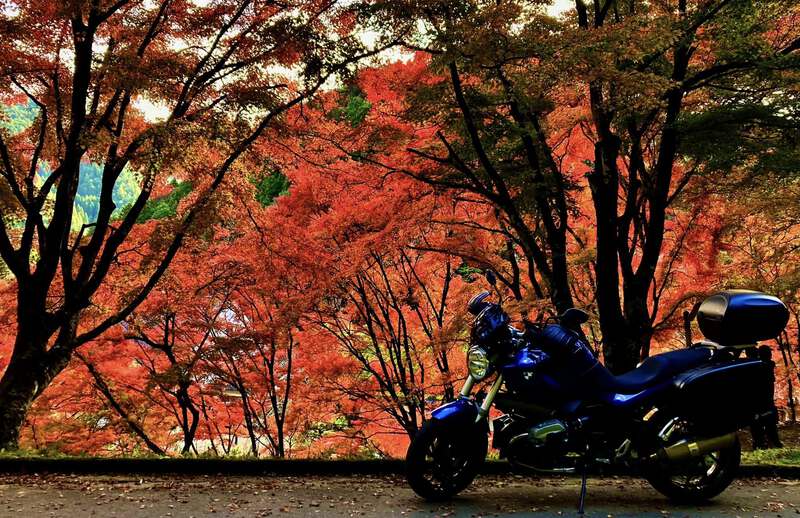 「香嵐渓」紅葉情報! 2024年11月29日