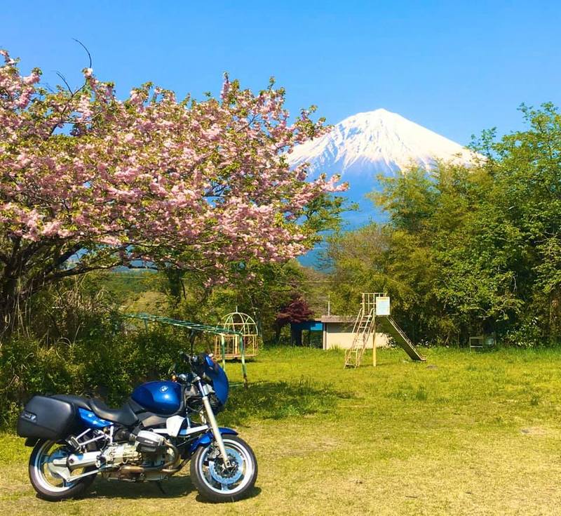峰山広場からの寒桜と富士山