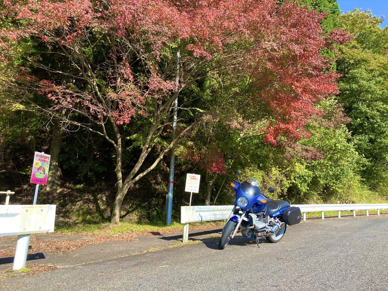 国道420号 愛知県豊田市阿蔵町保戸嶋の紅葉
