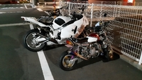夜な夜な凸凹ﾂｰﾘﾝｸﾞ