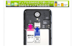 SIM 2 枚刺し