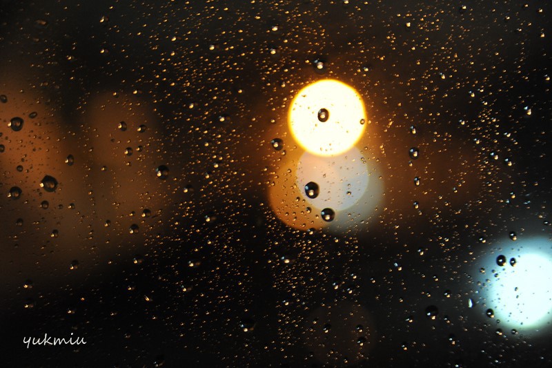 大雨・・・爆弾低気圧きた？
