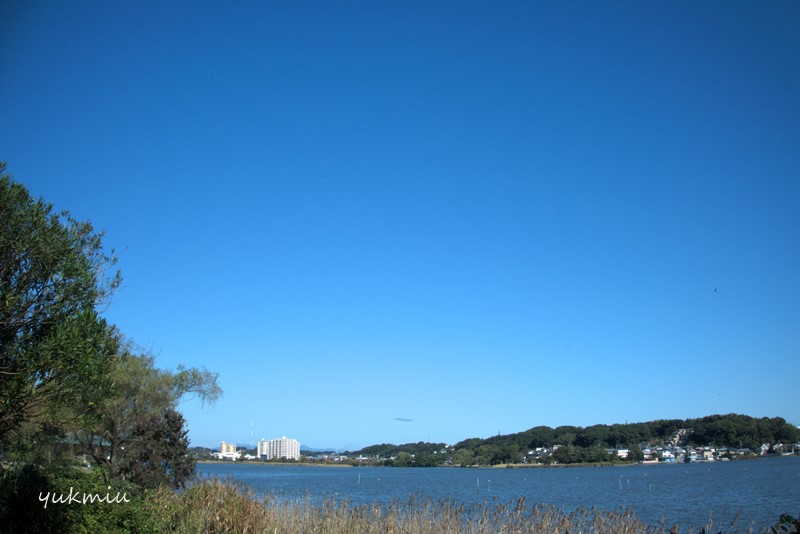 佐鳴湖公園のカカシ