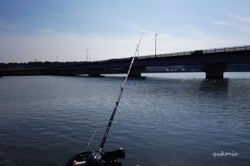 シーバス狙いに奥浜名湖の都田川！
