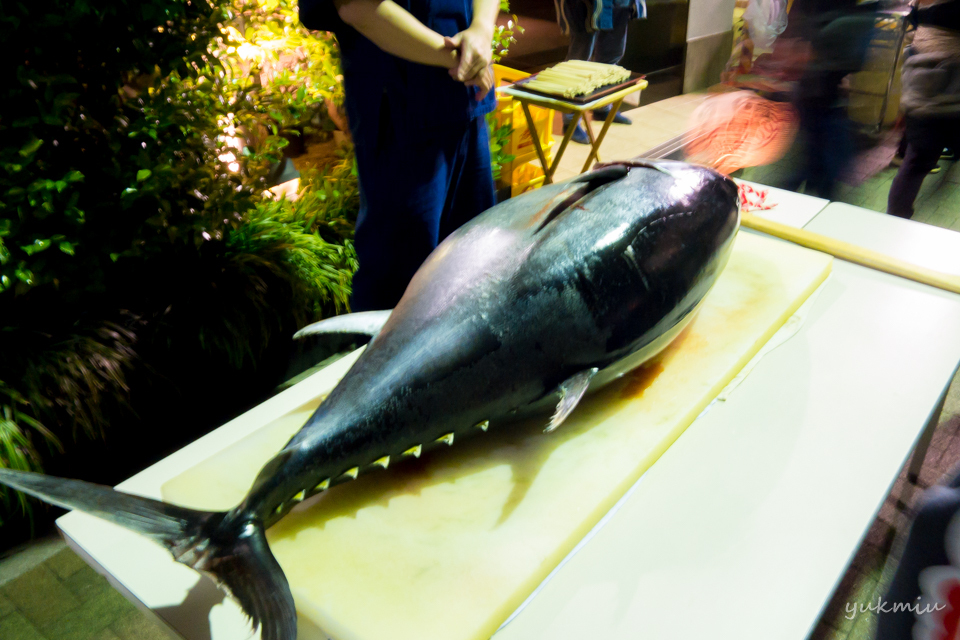 子供の日に紅すずめさんでマグロ解体ショー
