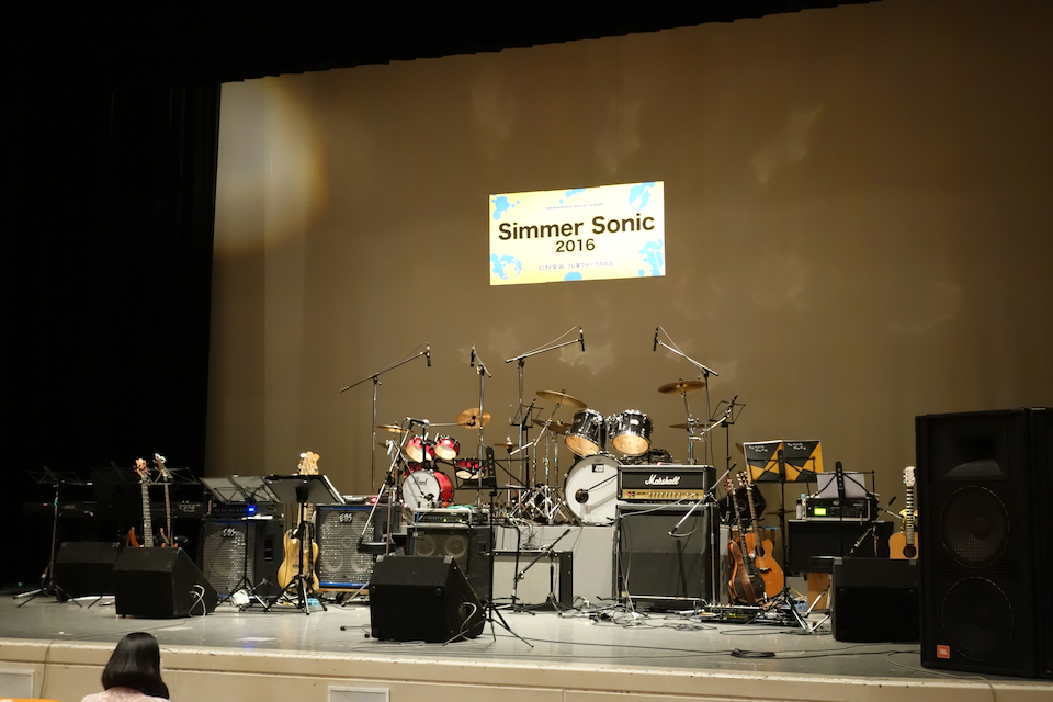 Simmer Sonic!