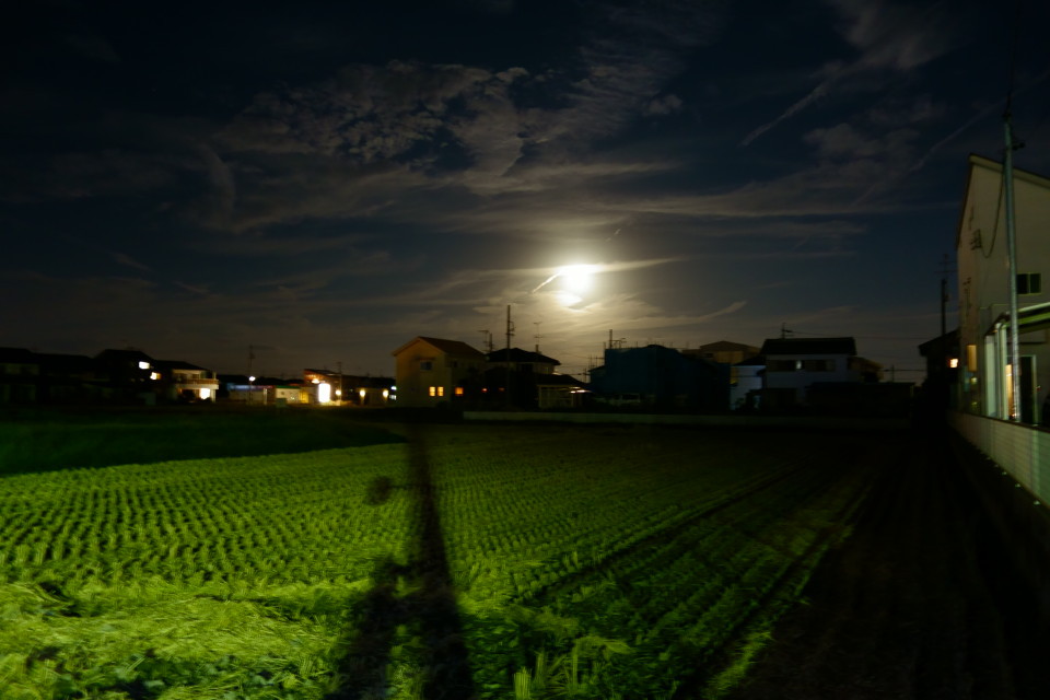 満月の夜