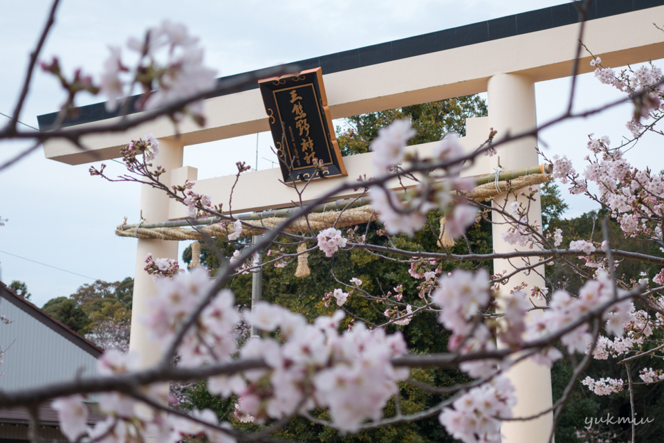 遠州横須賀の三熊野神社大祭