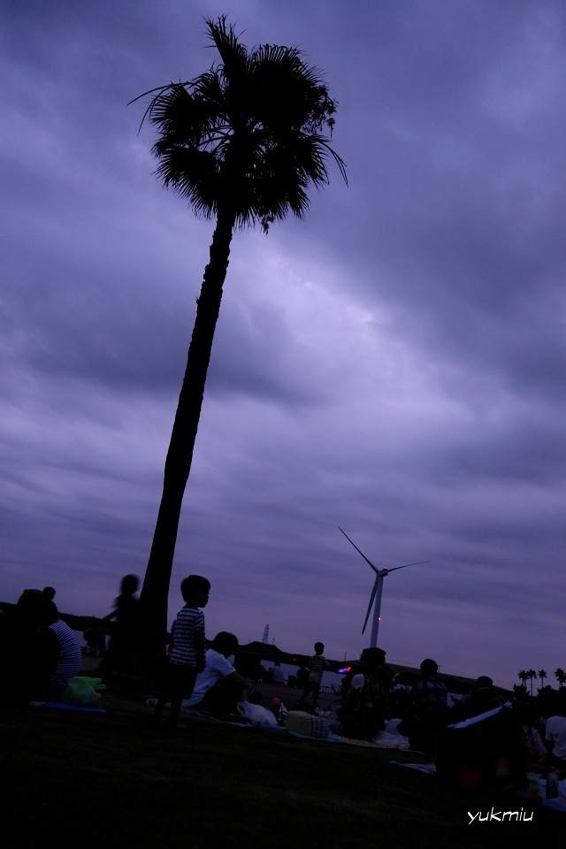 竜洋海洋フェスタ 花火大会