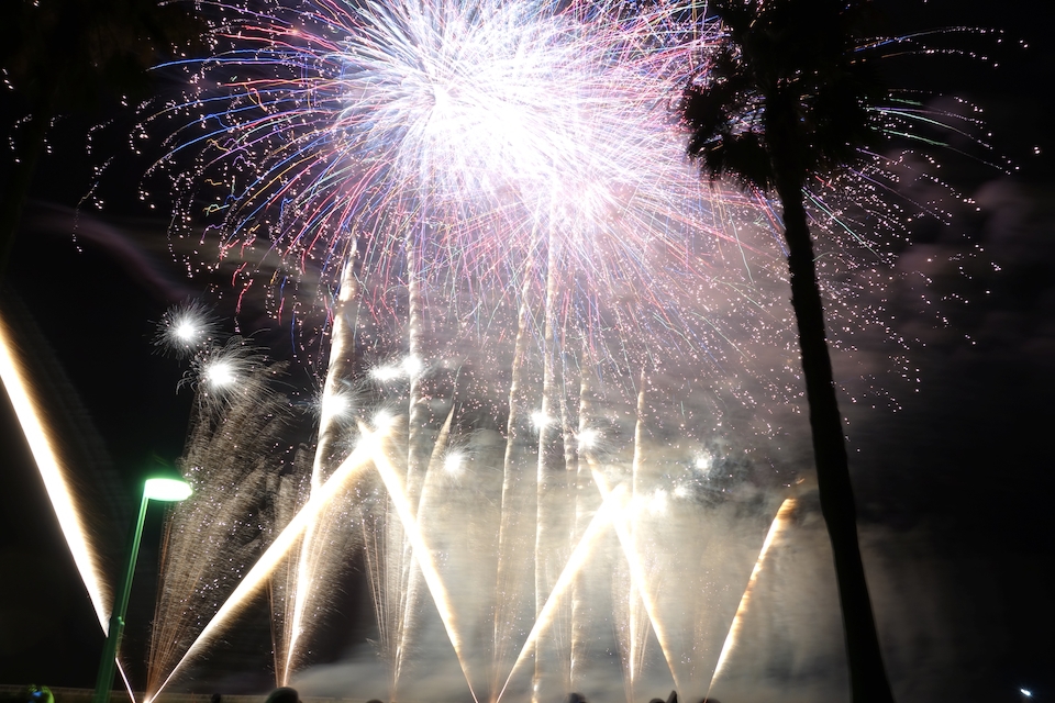 竜洋海洋フェスタ 花火大会