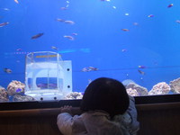 浜名湖体験学習施設ウォットへ 2014/02/21 09:00:00