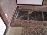白蟻被害 2013/04/07 13:35:06