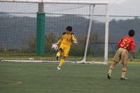 2014年新人戦結果