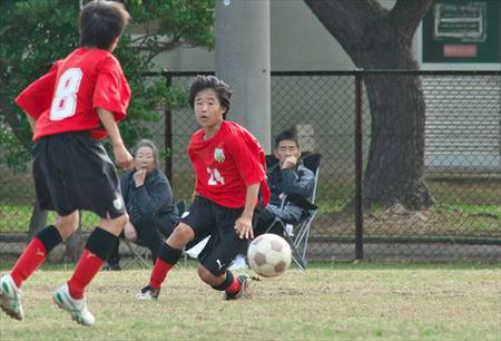 2013新人戦結果