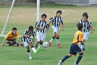 2014スルガカップ静岡県大会ベスト16