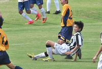 2014スルガカップ静岡県大会ベスト16