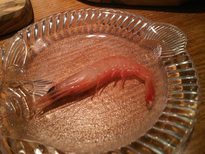 オーシャンビストロ　とぅくとぅくさん