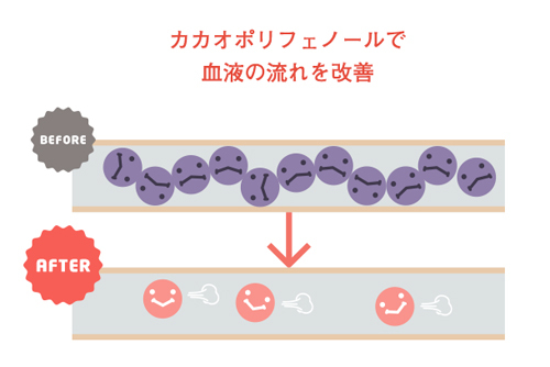 チョコレートの健康効果 ストレスの軽減、アレルギーを改善しガンや動脈硬化、胃潰瘍、虫歯などの予防 ブルックサイド