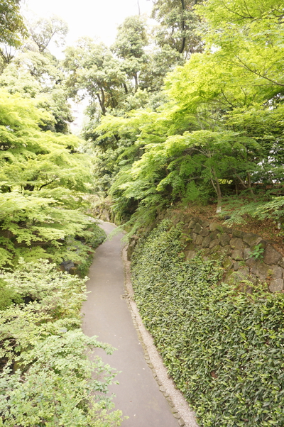 街中の緑、徳川園へ♪