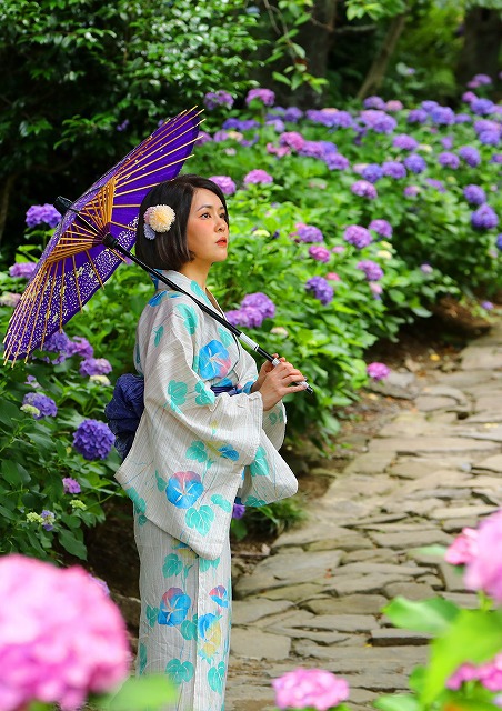 紫陽花寺本光寺