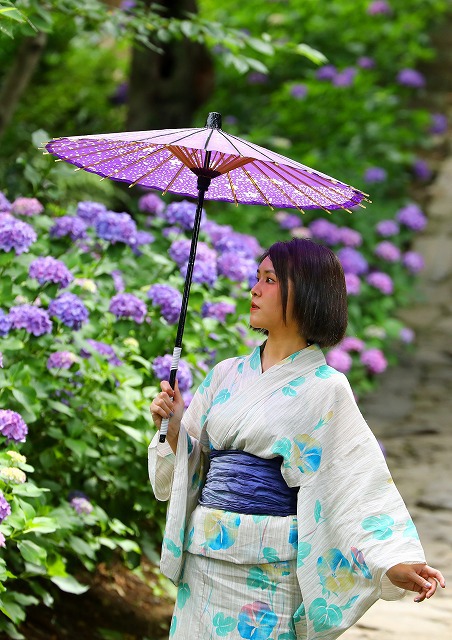 紫陽花寺本光寺