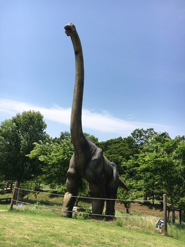 逃げーーーる！