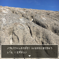 メタルスライムをさがせ！in中田島砂丘
