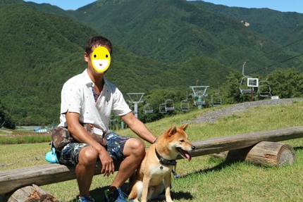 コスモス畑にて柴犬りく君