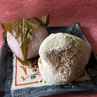 春だね