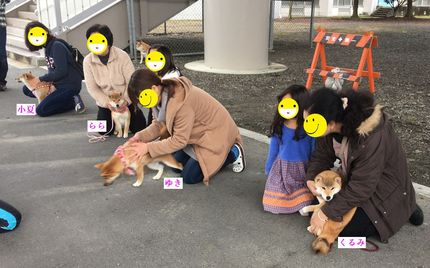 しつけ教室開催しました。