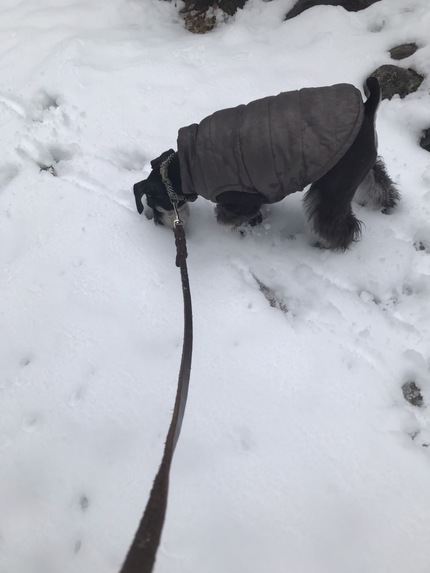 初雪遊びしたよ