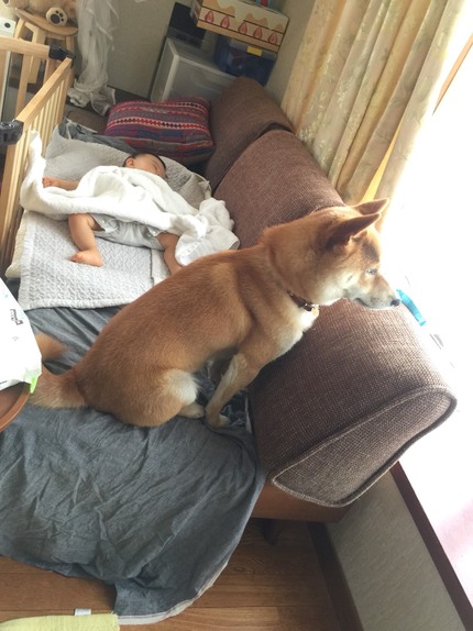 仲良しだもんね。