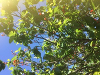 早速の登録ありがとうございます！ 2018/04/25 21:57:20