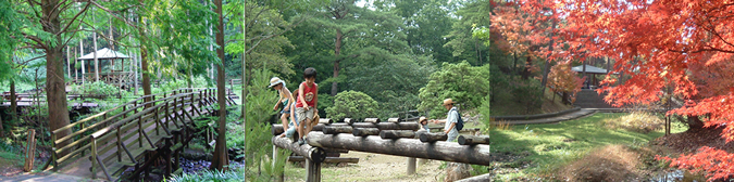 森のクラフトにこにこフェスタvol.1☆森林公園散策