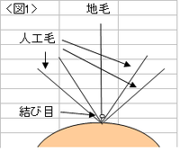 「下げられる増毛」との違い 2019/08/03 09:01:08