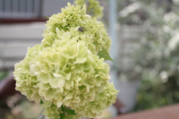 5月のすまいるるーむのお知らせ 2019/04/30 20:50:52
