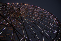 葛西臨海公園の日本最大117mのダイヤと花の大観覧車！