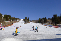 春スキー、鷲ヶ岳スキー場で滑り納め。