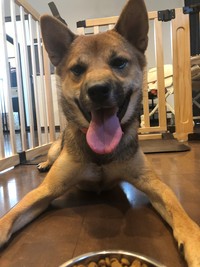 はじめました 2019/09/26 14:53:29