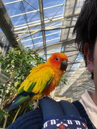 花鳥園へ 2020/01/23 12:00:00