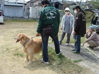 猫の譲渡会