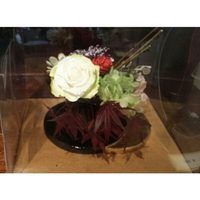 展示会作品 2013/12/30 08:40:00