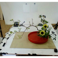 生け花創作作品 2013/09/17 14:05:00
