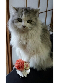 明日から♪ 2014/04/10 22:26:00