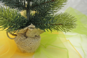 クリスマスツリーの入荷が始まりました。